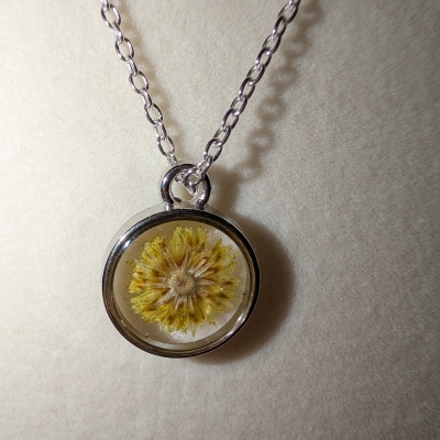 Small Silver Yellow